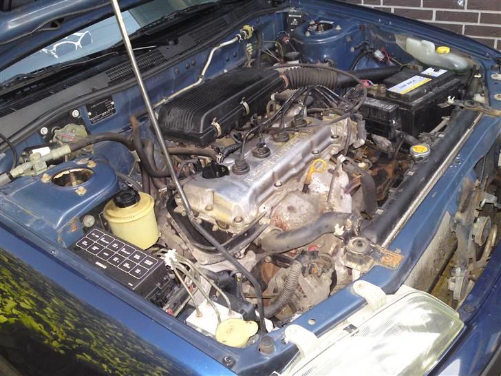 Nissan Primera  Sussi Død:/ billede 12