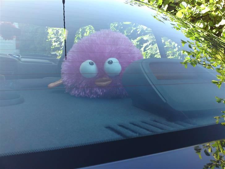 Nissan Primera  Sussi Død:/ billede 15