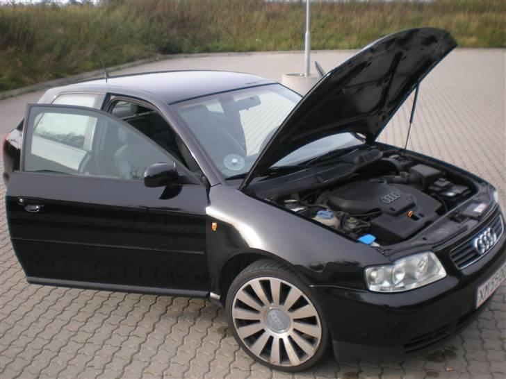 Audi A3 1.6 billede 8