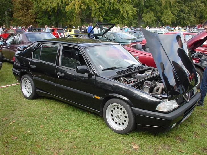 Alfa Romeo 33S 1,7 16V QV "Eleanor" - Bella Italia træf 2009. Åben hjelm på en 33 lokker folk til at tage et kig på boxer´en. billede 1