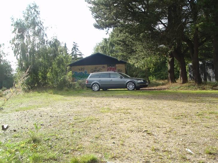 VW Passat TDI 130 hk solgt  billede 4