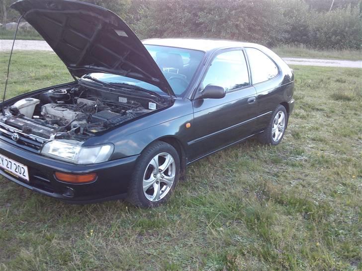 Toyota Corolla 1,3 xli  billede 9