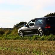 VW golf 4 "SOLGT"