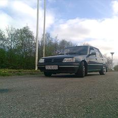 Peugeot 309 GT *Sat i Hi*