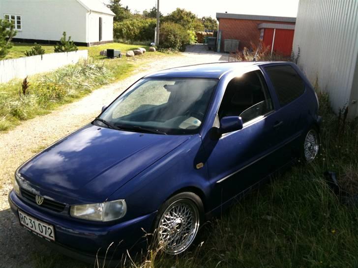 VW Polo 6n,Læder,Xenon,hård billede 2