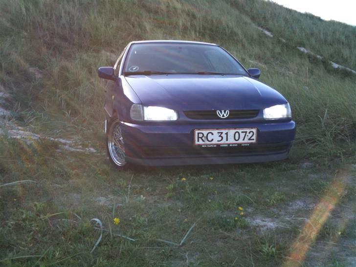 VW Polo 6n,Læder,Xenon,hård billede 3