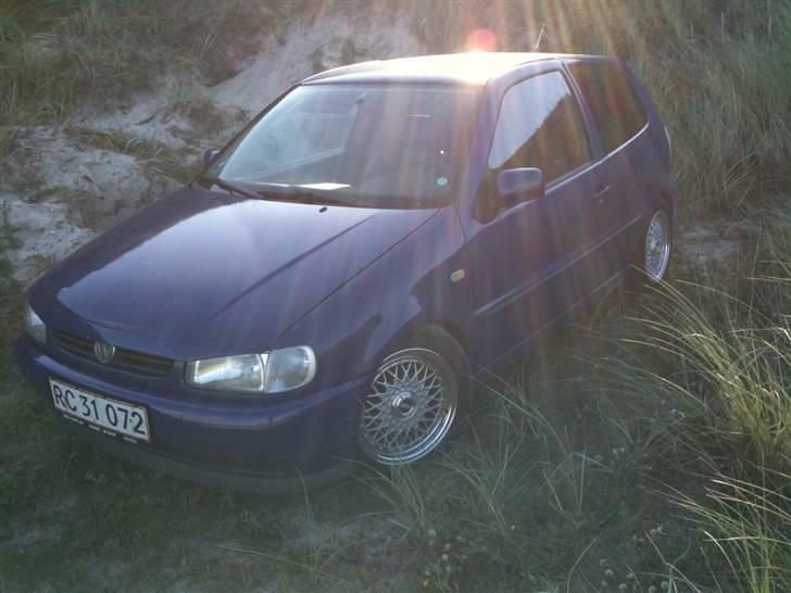 VW Polo 6n,Læder,Xenon,hård billede 4