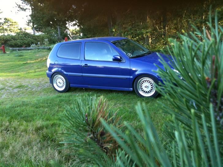 VW Polo 6n,Læder,Xenon,hård billede 6