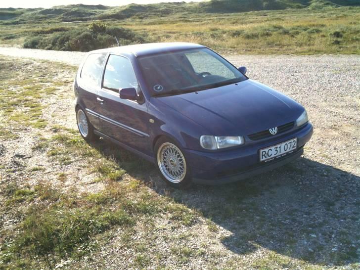 VW Polo 6n,Læder,Xenon,hård billede 11