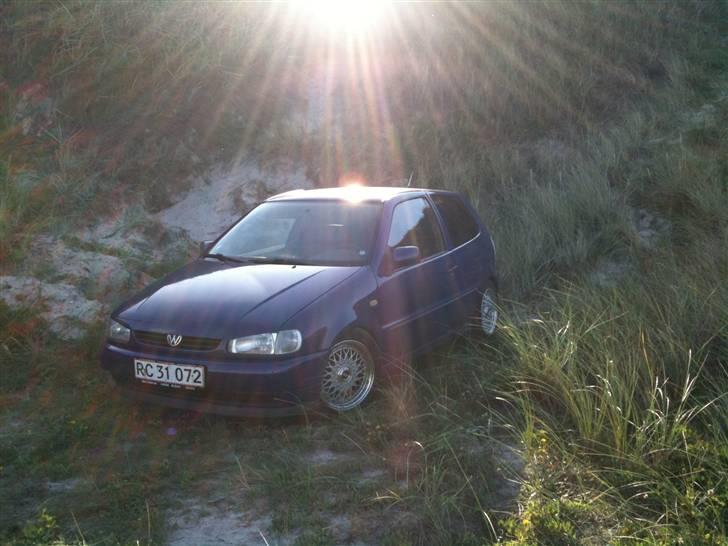 VW Polo 6n,Læder,Xenon,hård billede 12