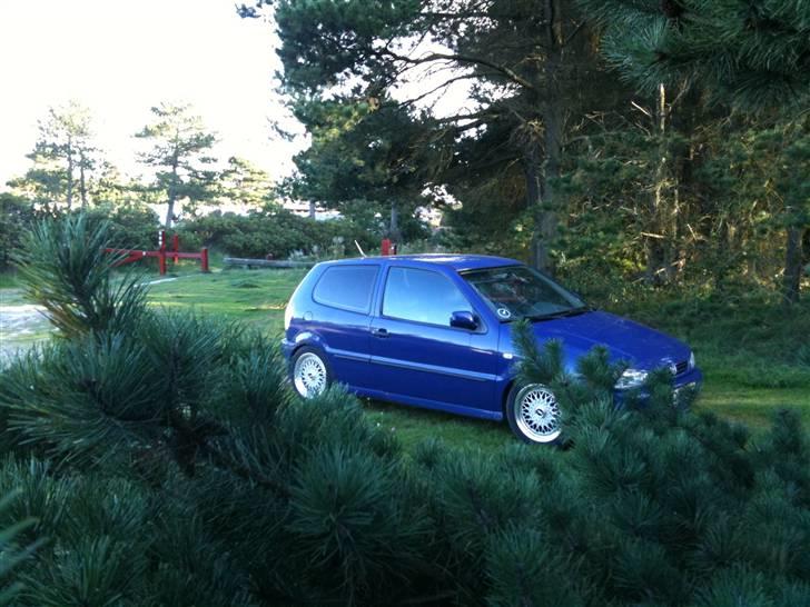 VW Polo 6n,Læder,Xenon,hård billede 13