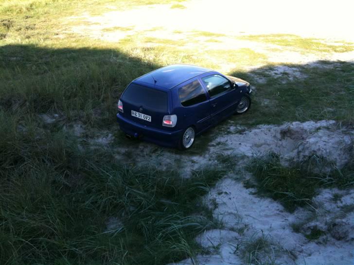 VW Polo 6n,Læder,Xenon,hård billede 14