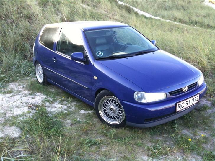 VW Polo 6n,Læder,Xenon,hård billede 15