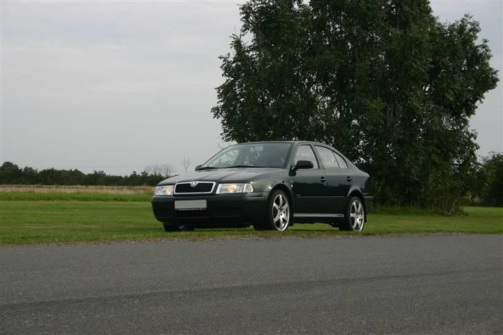 Skoda Octavia SDI billede 17