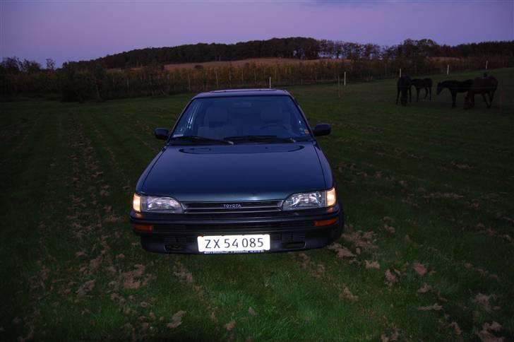 Toyota Corolla 1,3 XL E9 'Sussi' billede 5