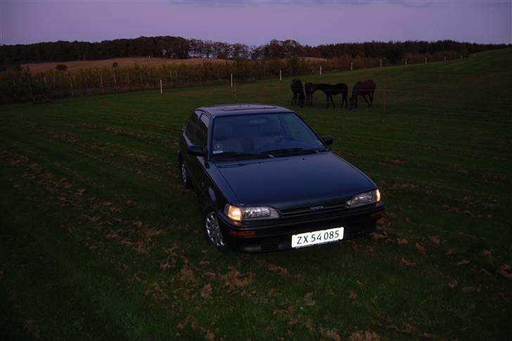 Toyota Corolla 1,3 XL E9 'Sussi' billede 6