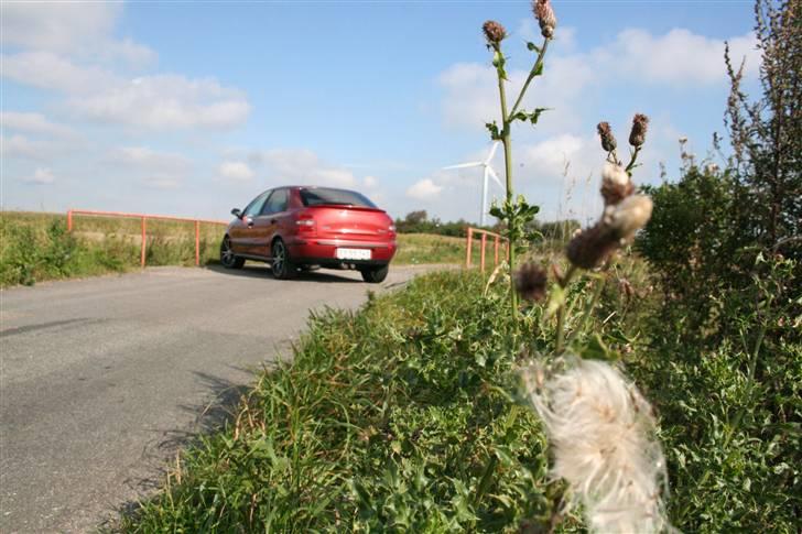 Fiat Brava SLX billede 6