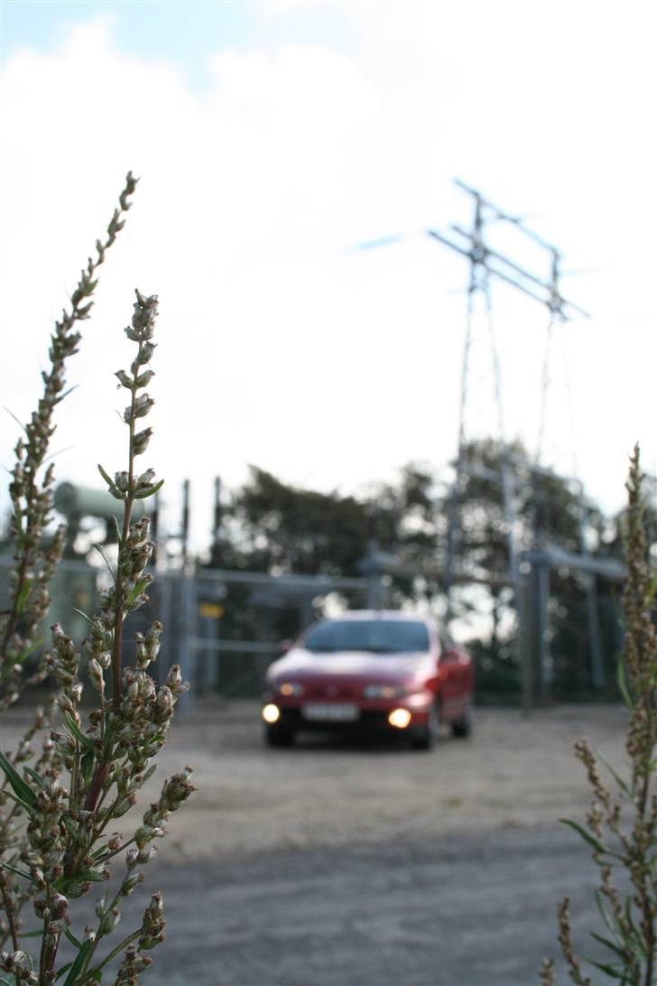 Fiat Brava SLX billede 9