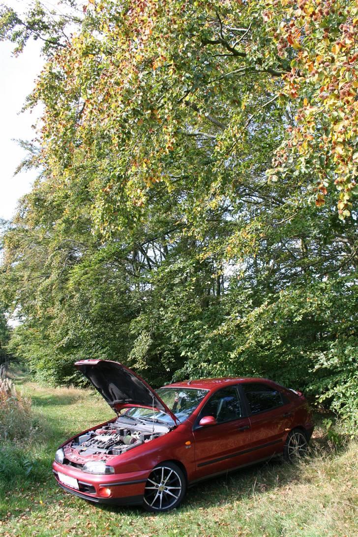 Fiat Brava SLX billede 11