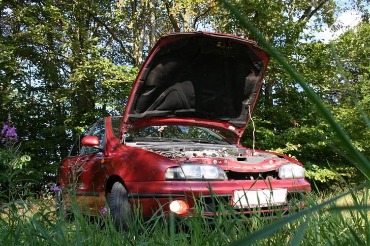 Fiat Brava SLX billede 12