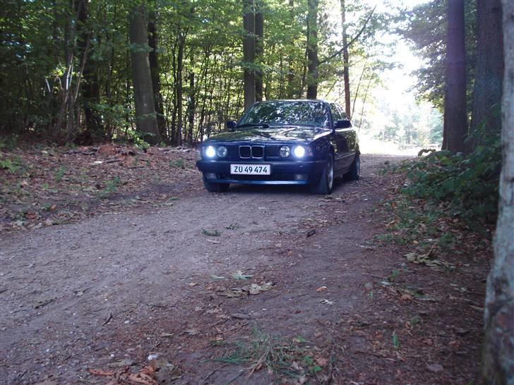 BMW 520i / 523i e34 byttet. billede 11