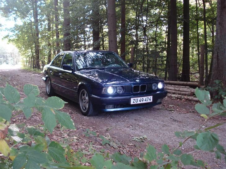BMW 520i / 523i e34 byttet. billede 12