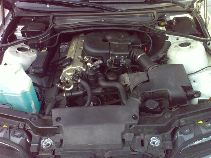 BMW 318i e46 billede 3