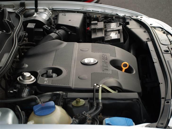 Seat Leon TDI - Clean billede 8