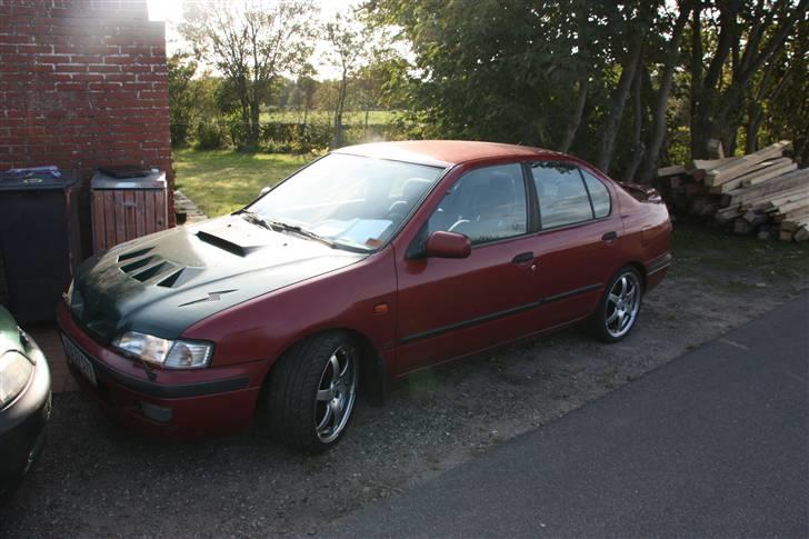 Nissan primera 2,0i slx (byttet) - ny køler hjelm billede 9