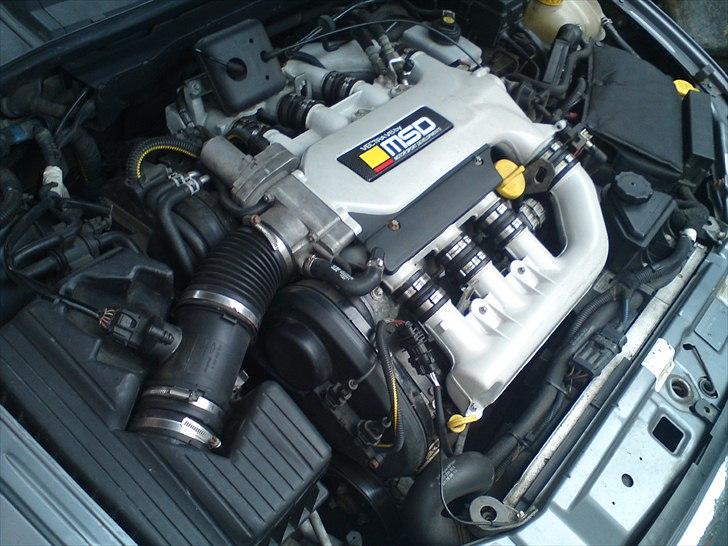 Opel Vectra B ~ 2,6 V6 Wagon - 2.6 V6 24v billede 17