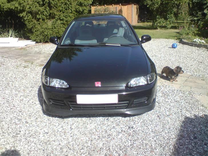 Honda Civic esi Solgt - Her har vi så bilen og hunden ved siden af  billede 1