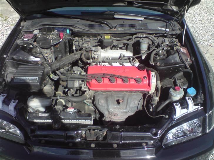 Honda Civic esi Solgt - Den sløve stald billede 7