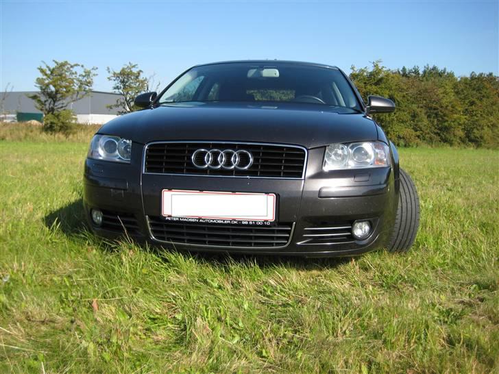 Audi A3 Ambition 2.0 Tdi 8P billede 1