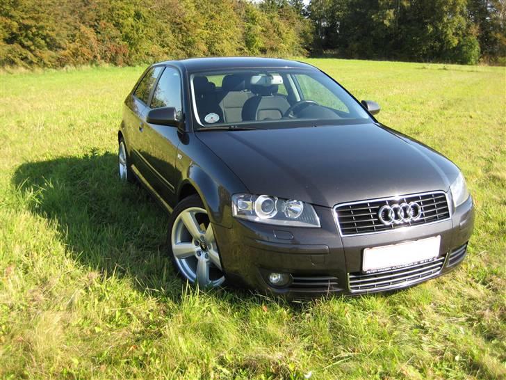 Audi A3 Ambition 2.0 Tdi 8P billede 2