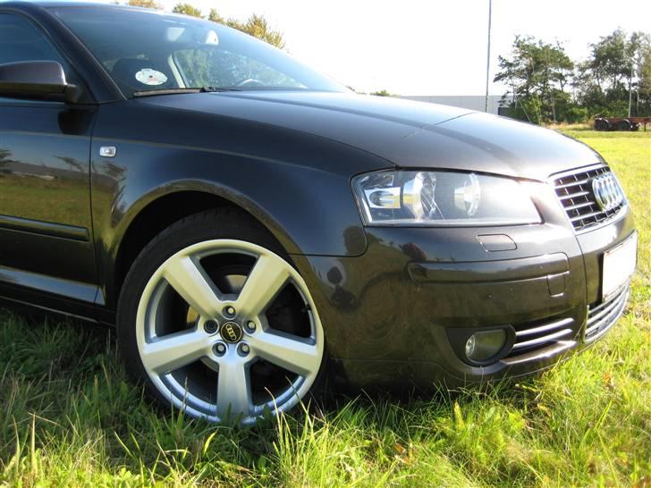 Audi A3 Ambition 2.0 Tdi 8P billede 3