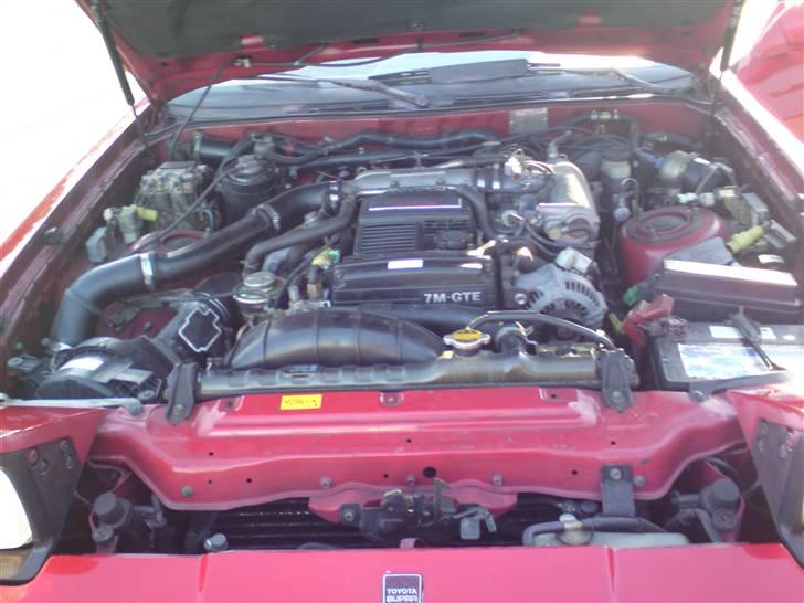 Toyota Supra(under ombygning ) - man sq ikke tror den var fra 88, ingen skrammer eller rust på den dejligt :). billede 12