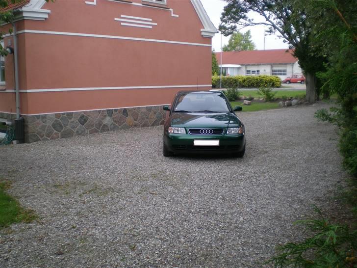 Audi A3 Ambition billede 1