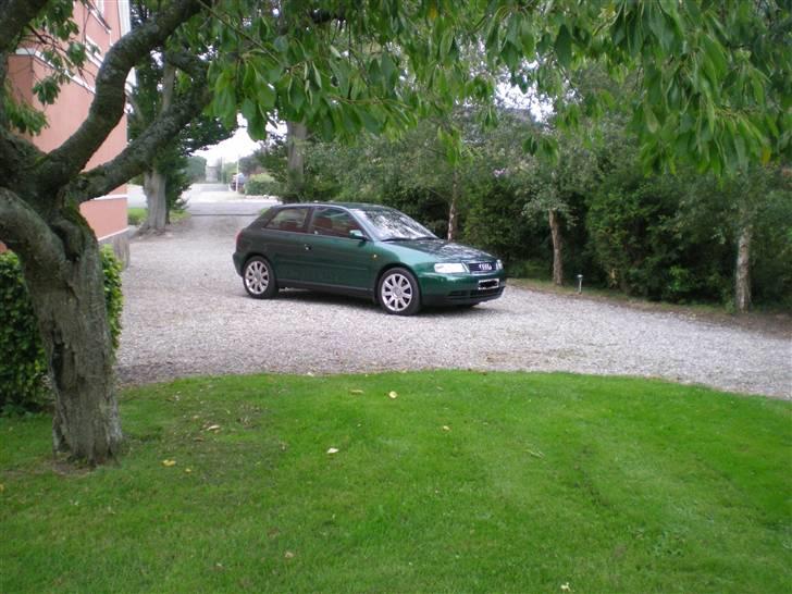 Audi A3 Ambition billede 3