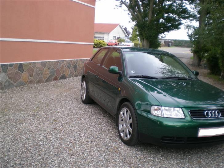 Audi A3 Ambition billede 9