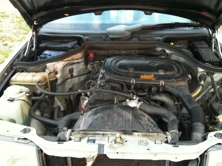 Mercedes Benz 230E - Die Kraftwerk :) billede 19