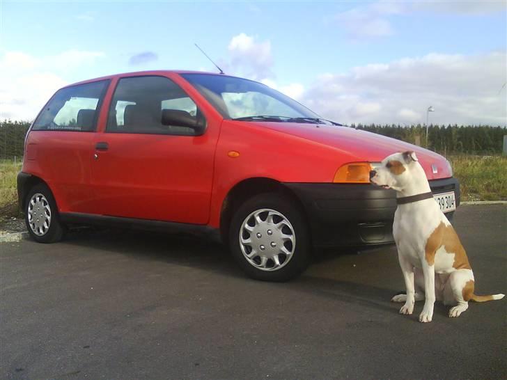 Fiat Punto billede 4