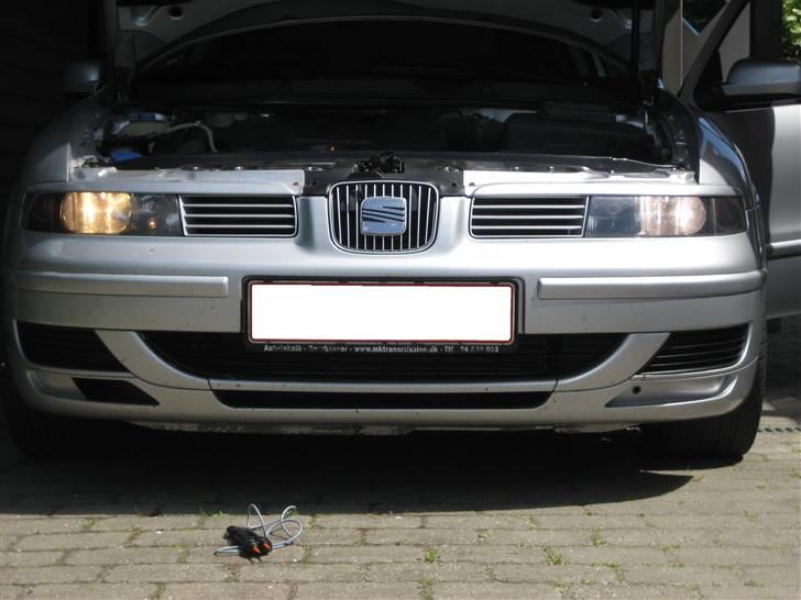 Seat Leon TDI - V. side alm. pære - H. side MTEC Super White pære  billede 14