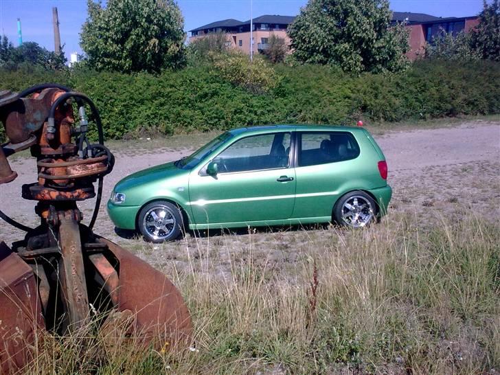 VW Polo 1,4 16v  billede 6