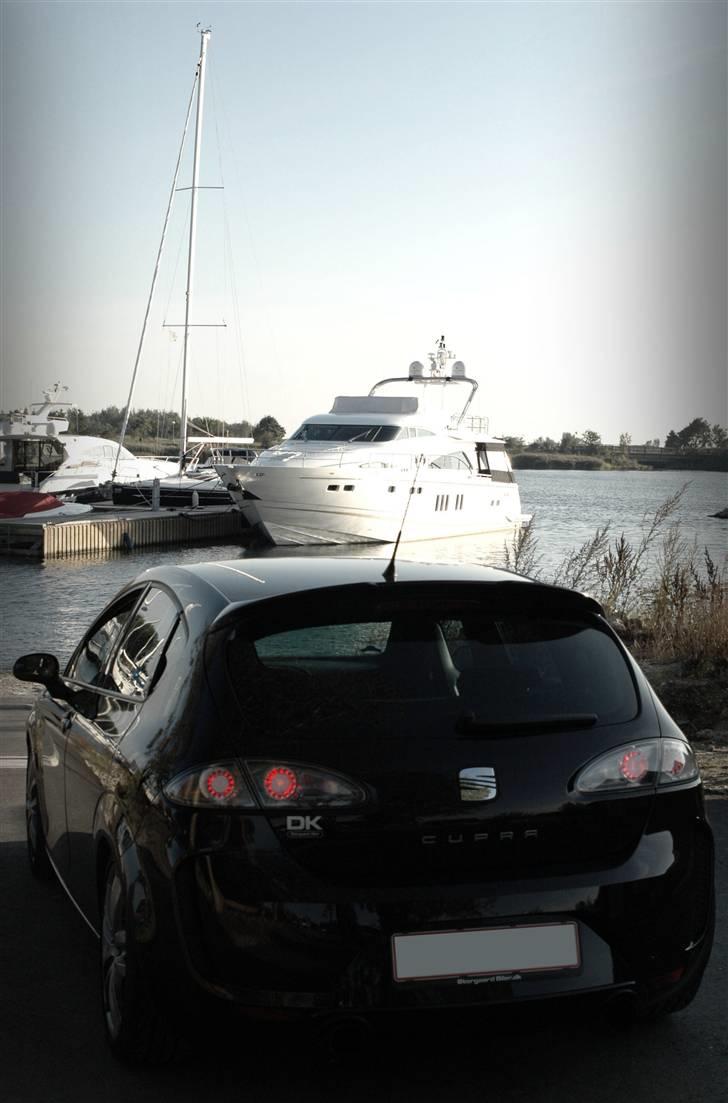 Seat                     Cupra billede 10