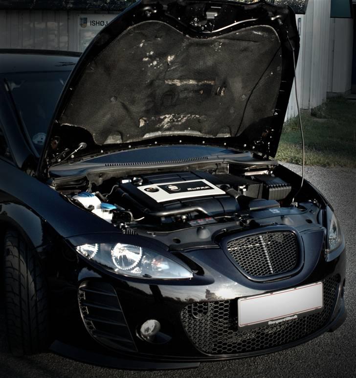 Seat                     Cupra billede 12