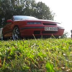 Opel Calibra byttet