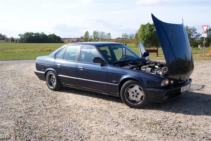 BMW 530i E34 - Solgt billede 13