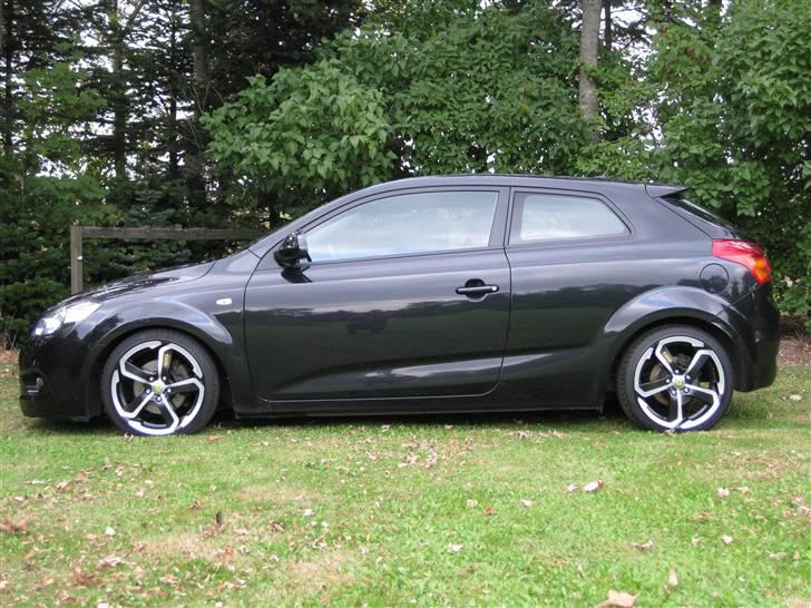 Kia pro_cee'd Sport (SOLGT) billede 12