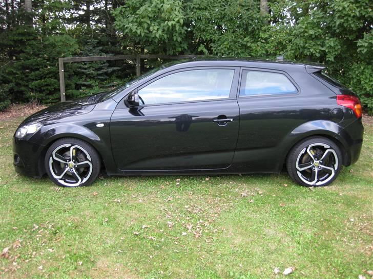 Kia pro_cee'd Sport (SOLGT) billede 13