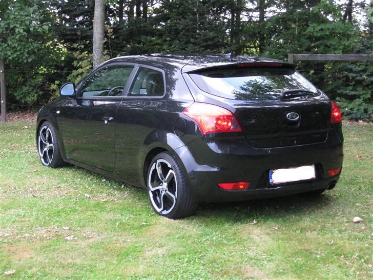 Kia pro_cee'd Sport (SOLGT) billede 16